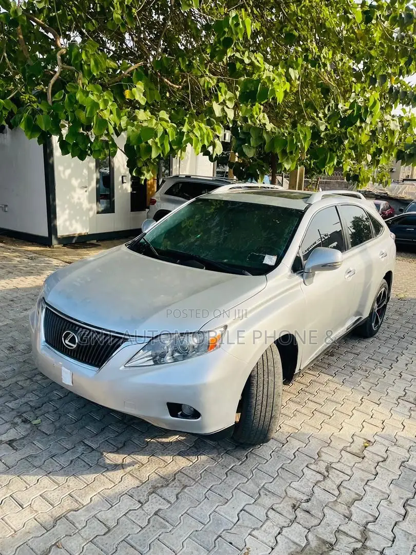 Lexus RX 2010 Silver