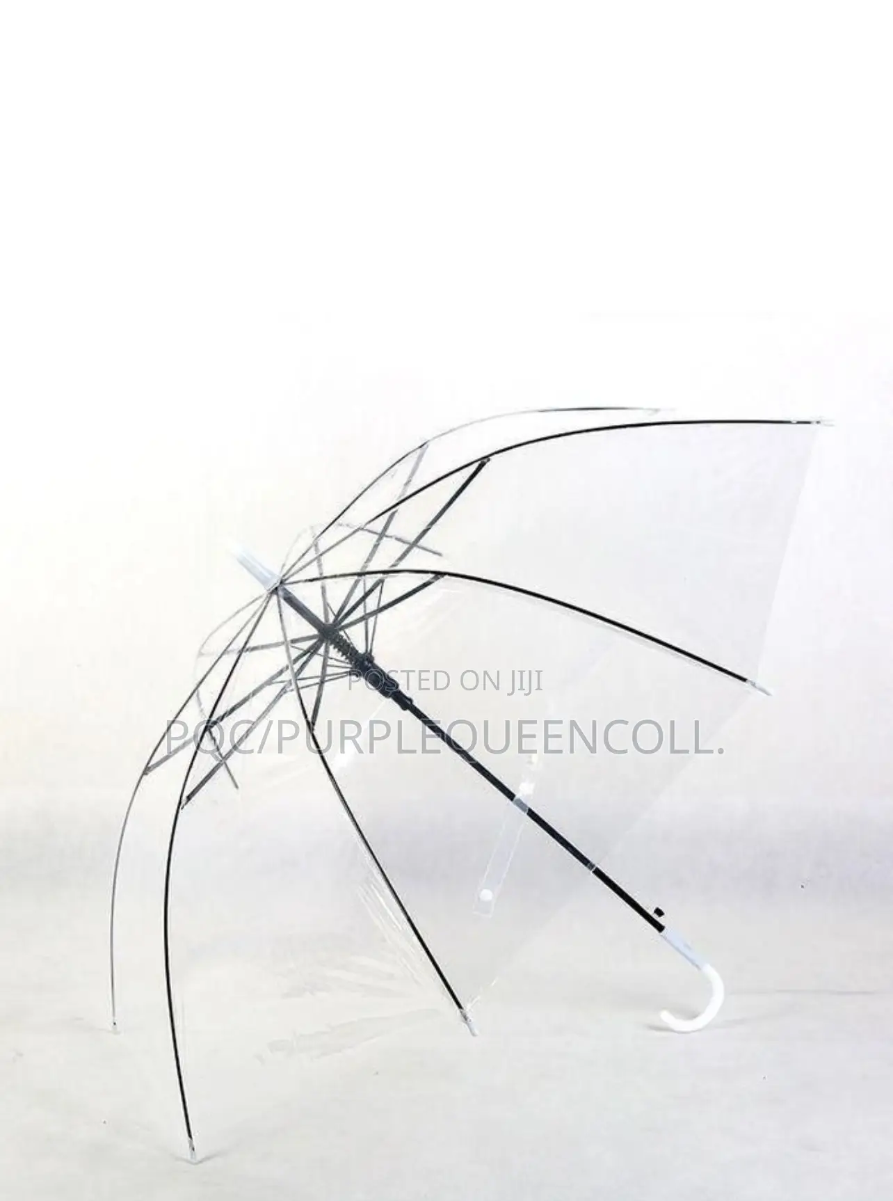 Transparent Umbrella