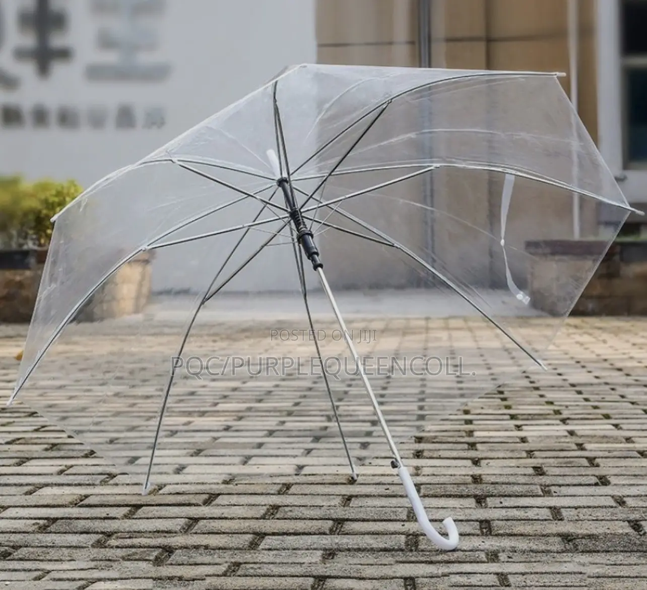 Transparent Umbrella