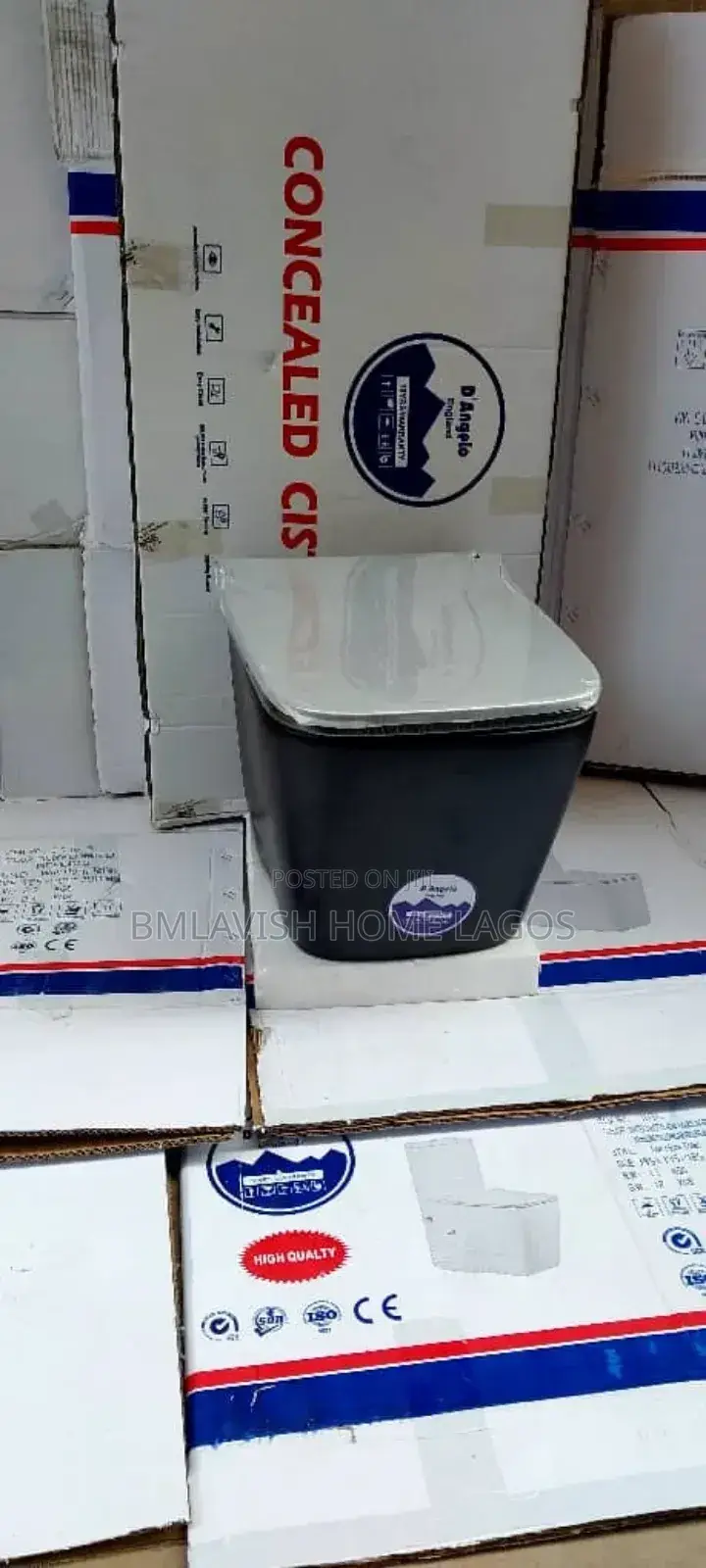 Complete Set of Black Concealed Water Closet With Tank and Accessories