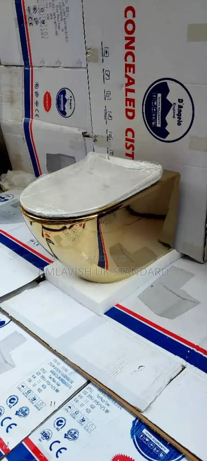 Durable Concealed Water Closet With Tank and Other Accessories