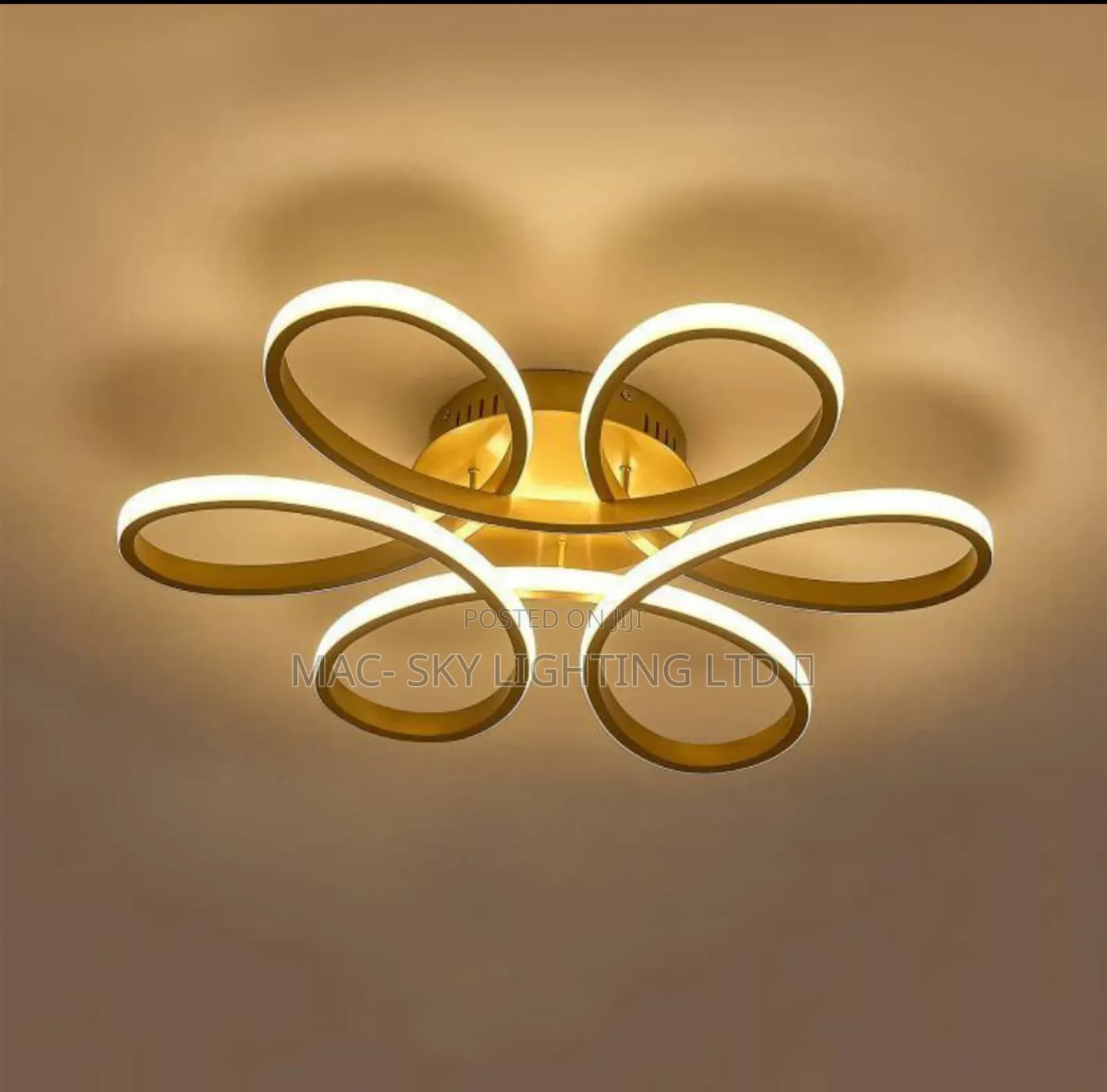 Celling Fitting Light