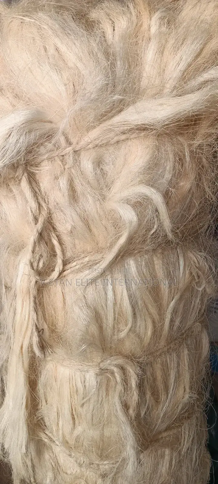 Sissan/Fillas Fibre