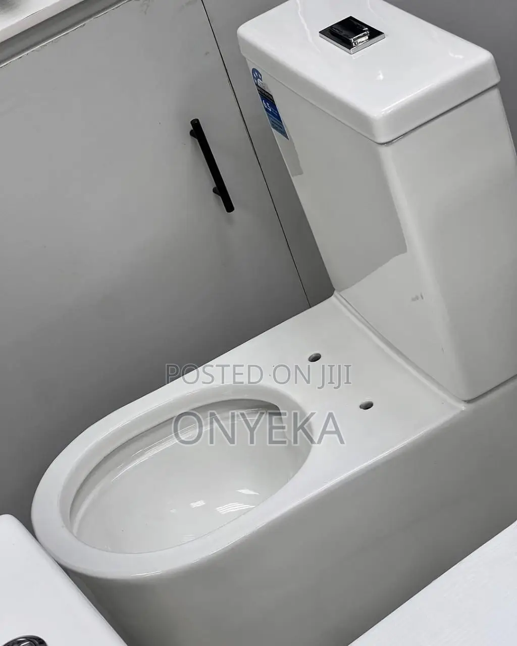 Luxury Set Water Closet Modern Design
