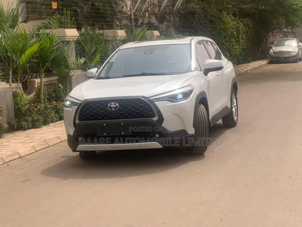 Toyota Corolla 2023 White