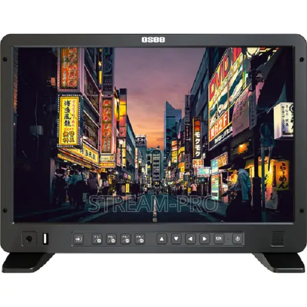 Osee Megamon 15 HDR Production Monitor With v-Mount Kit