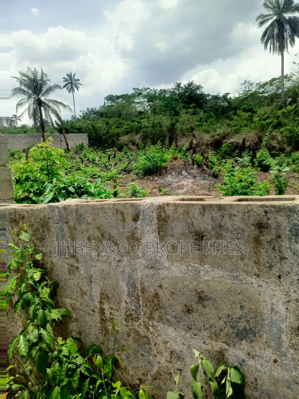 3 Plots for Poultry at Isiun Abeokuta