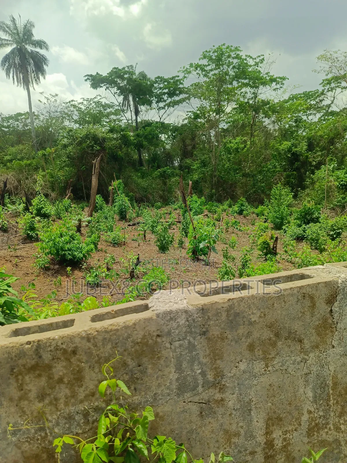 3 Plots for Poultry at Isiun Abeokuta