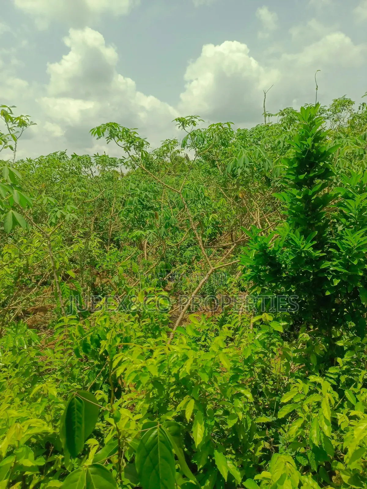 Acre of Farm Land at Adegbokan Village Isiun