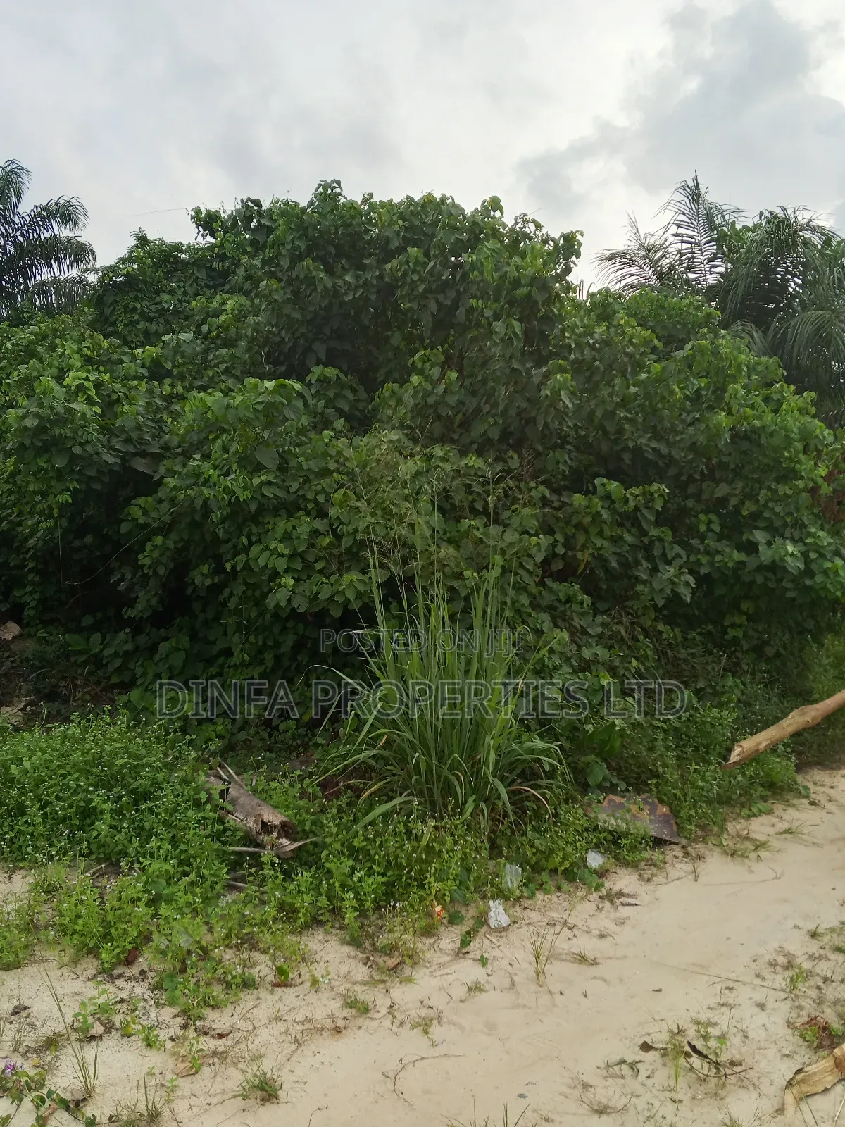 1650sqm of Dry Land for Sale in Sangotedo
