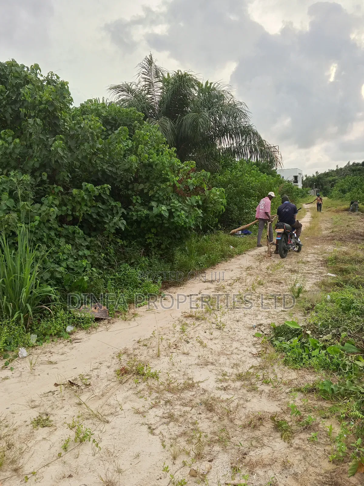 1650sqm of Dry Land for Sale in Sangotedo