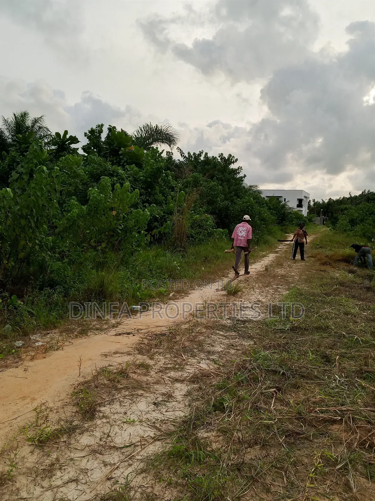 1650sqm of Dry Land for Sale in Sangotedo