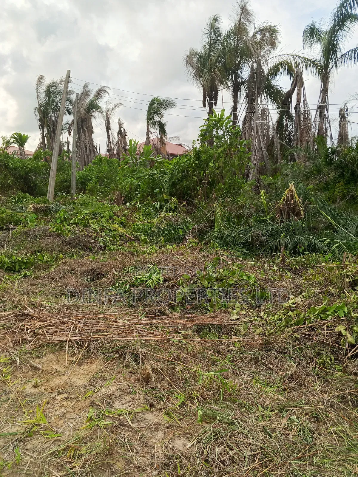 1650sqm of Dry Land for Sale in Sangotedo