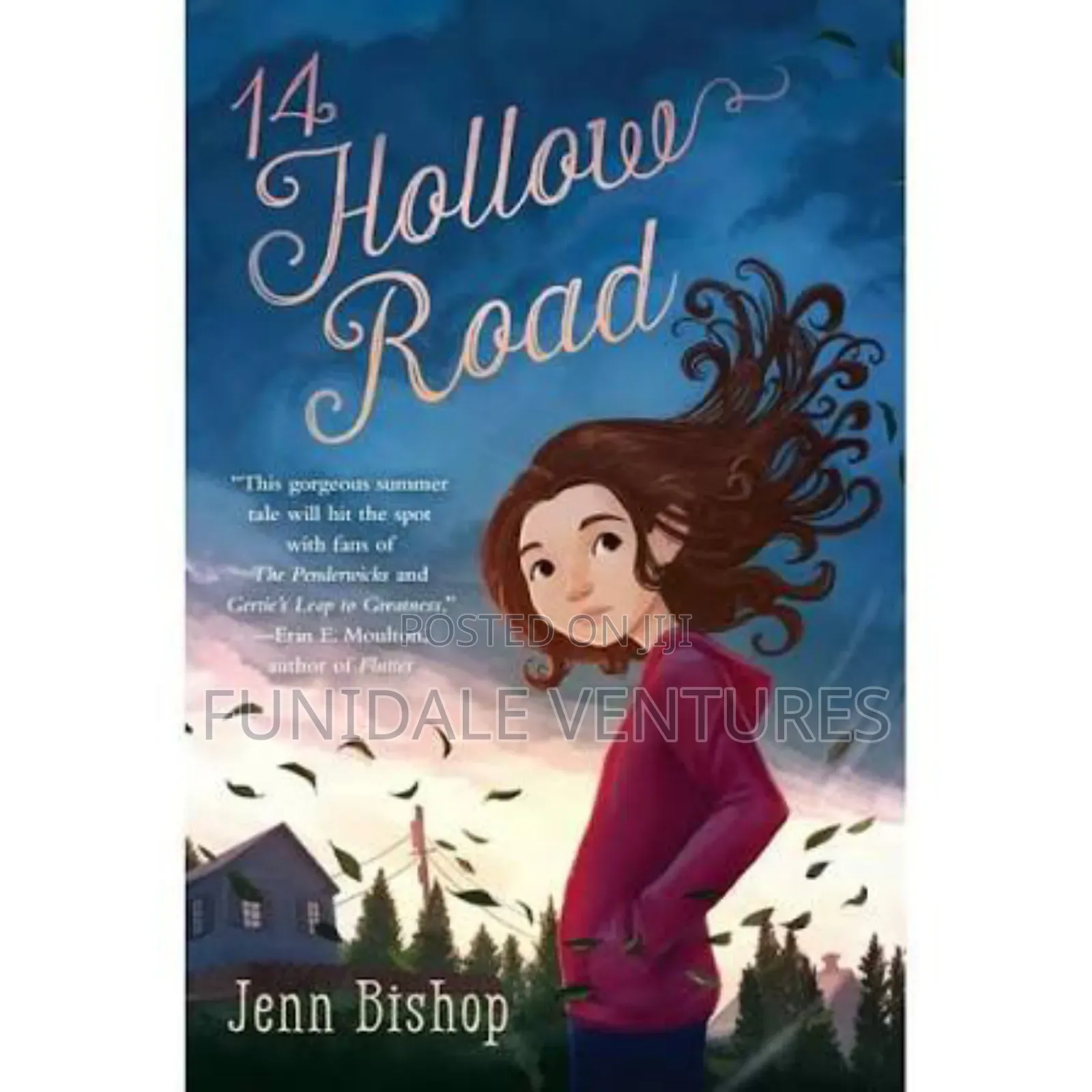 Juvenile Fiction: 14 Hollow Road