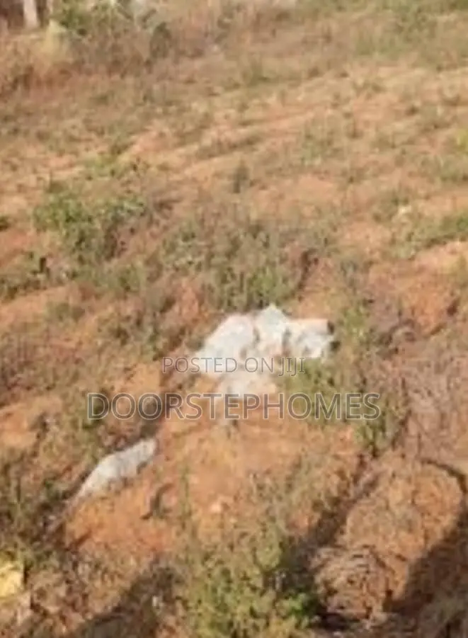 8 Hectares Mixed-Use Land for Sale in Guzape 2