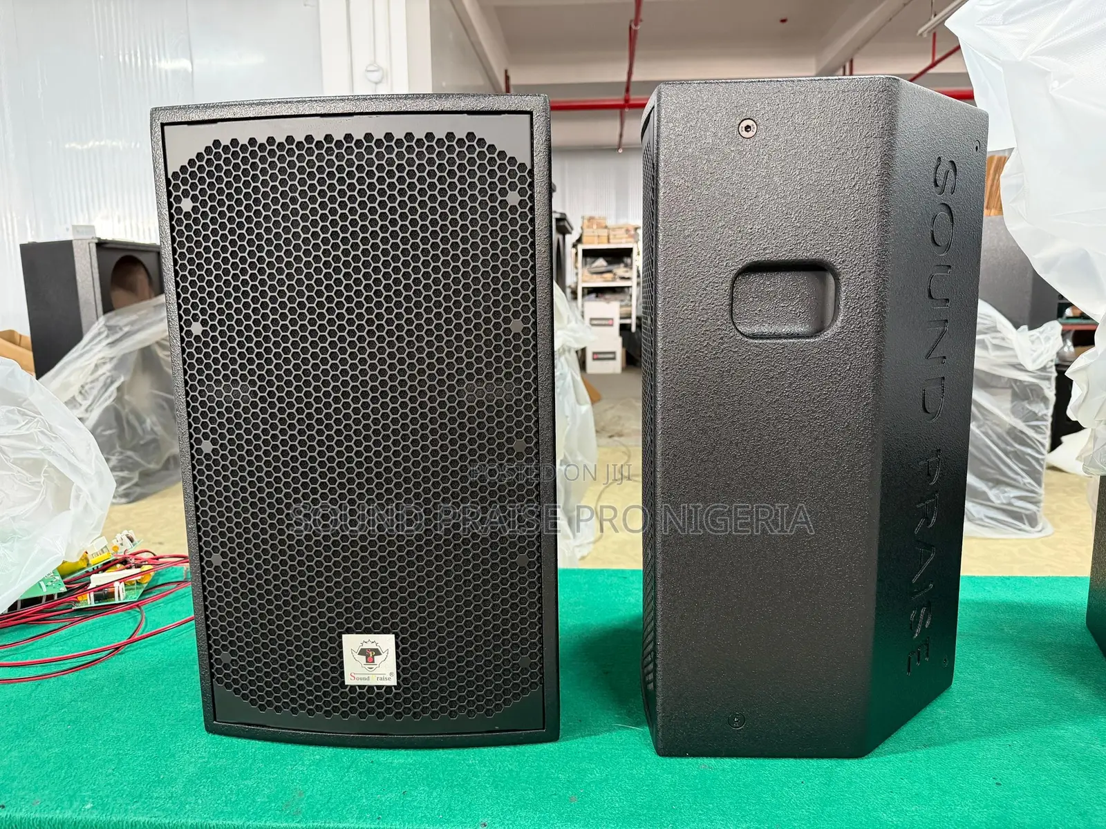 Hanging Speaker Sp12