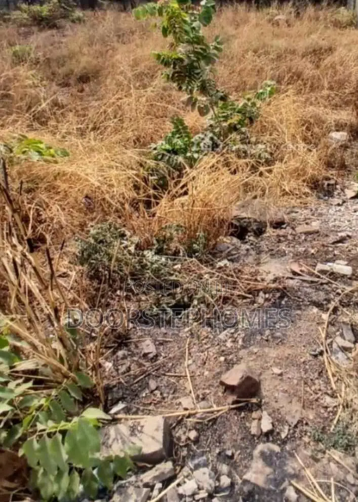 1.2 Hectares Commercial Land for Sale in Central Area