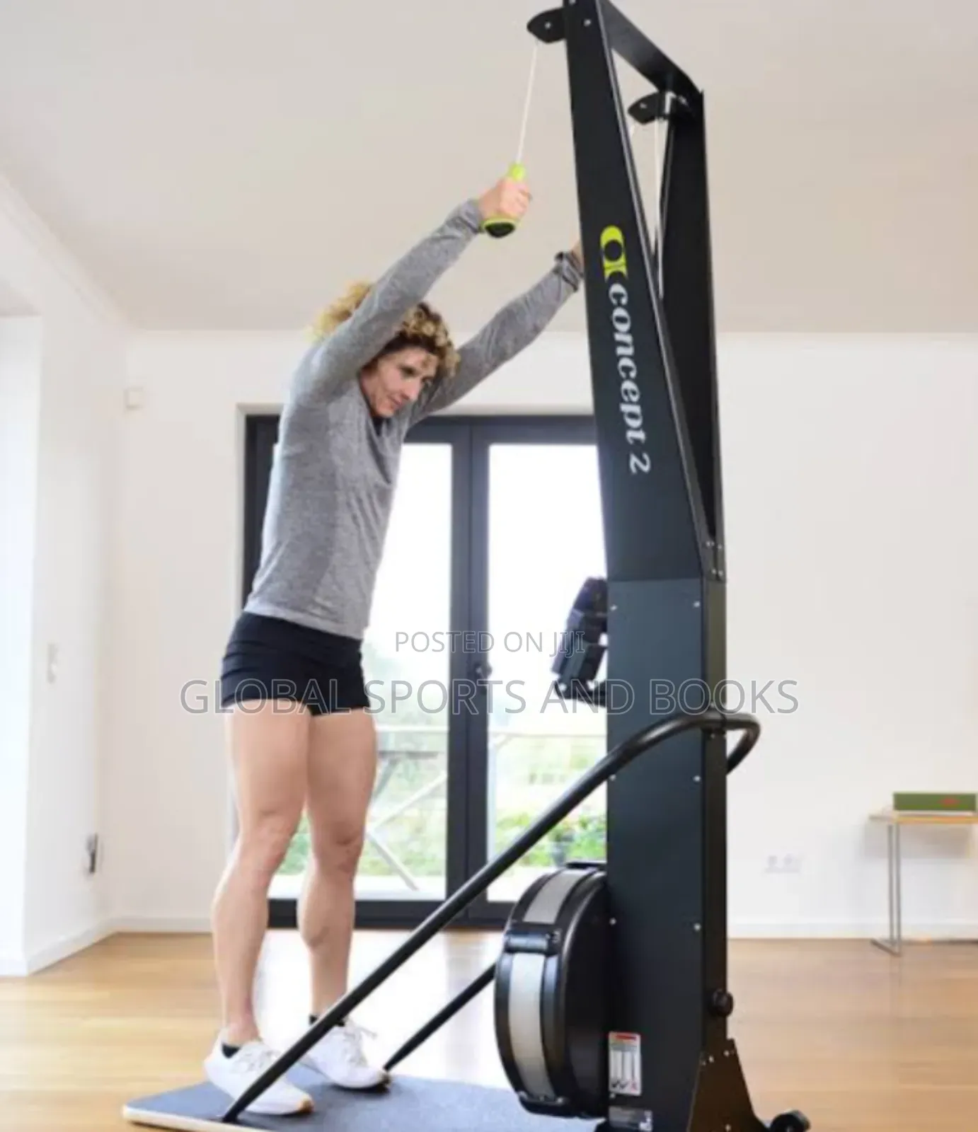 Upright Ski Machine