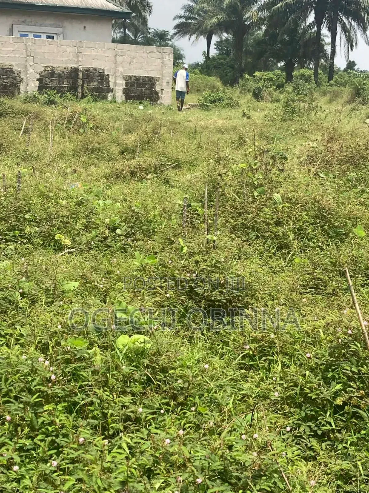 Genuine Land for Sale at Omagwa Station