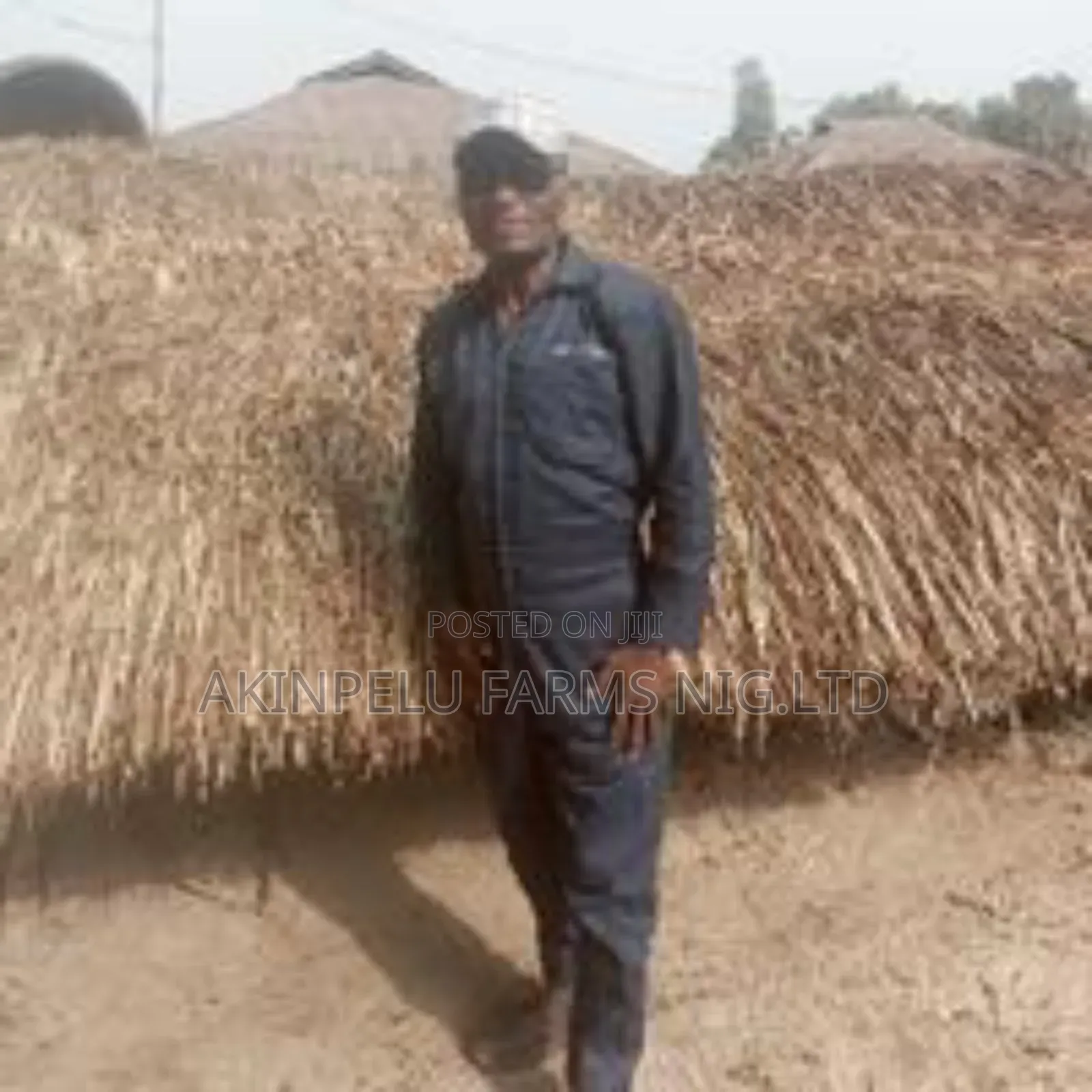 Operations Officer