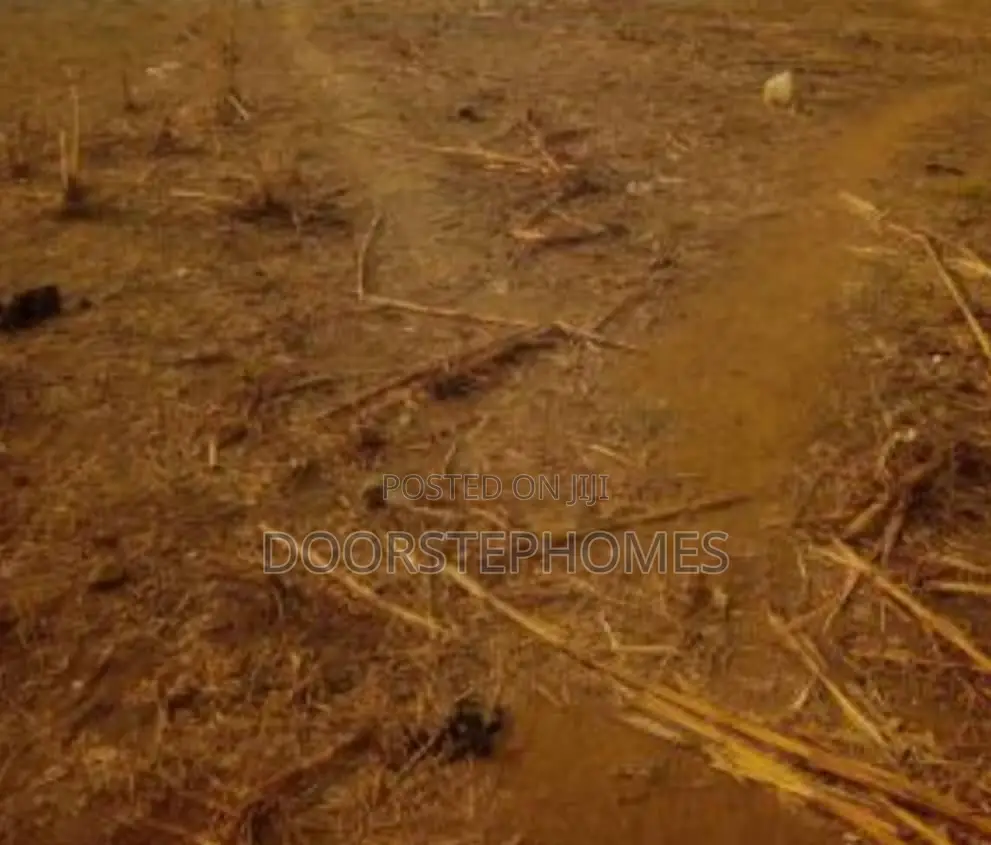 1561.30sqm Commercial Land for Sale in Katampe