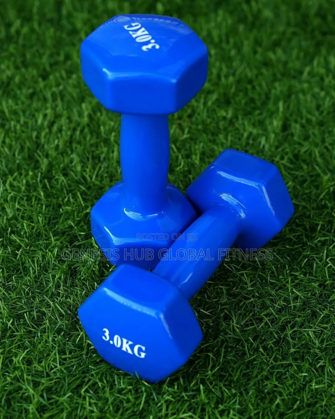 A Pair of 3kg Dumbell