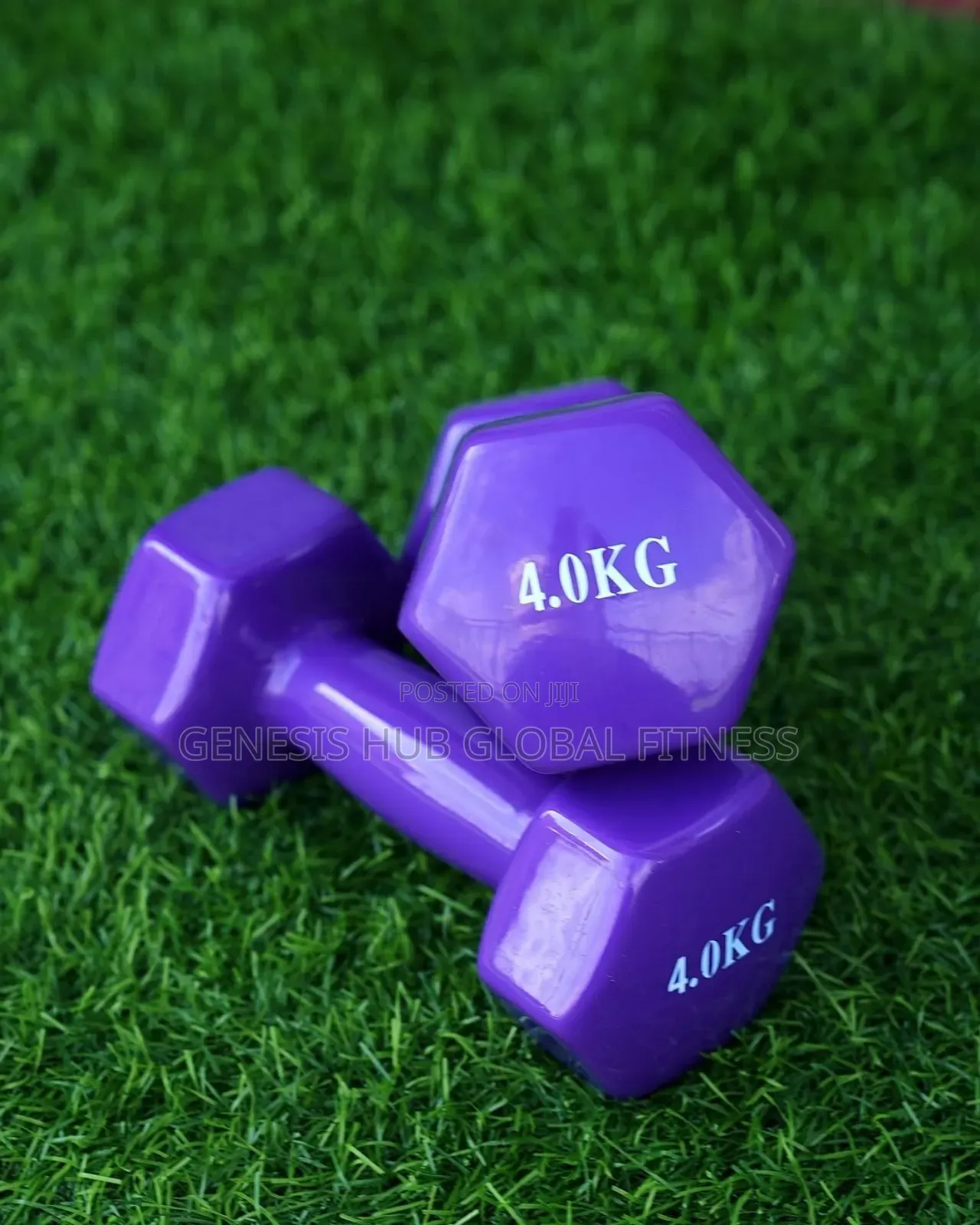 A Pair of 4kg Dumbells