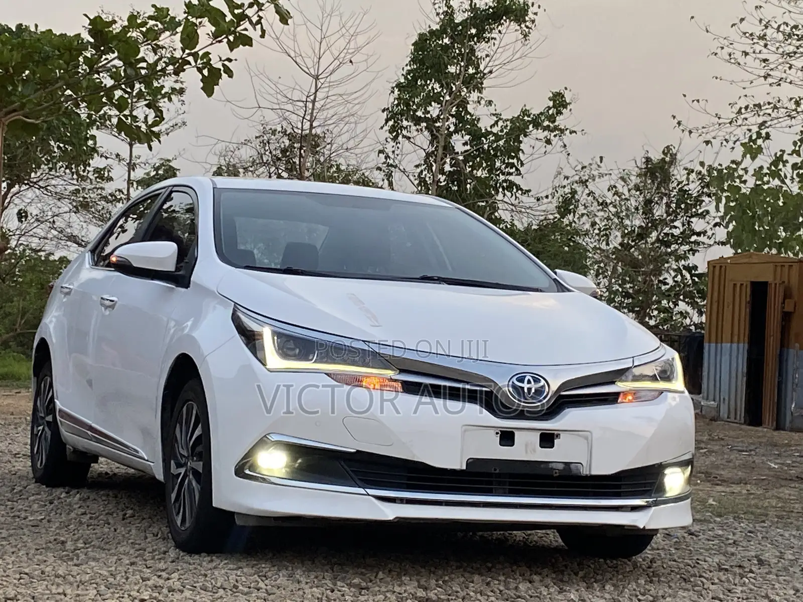 Toyota Corolla 2019 White