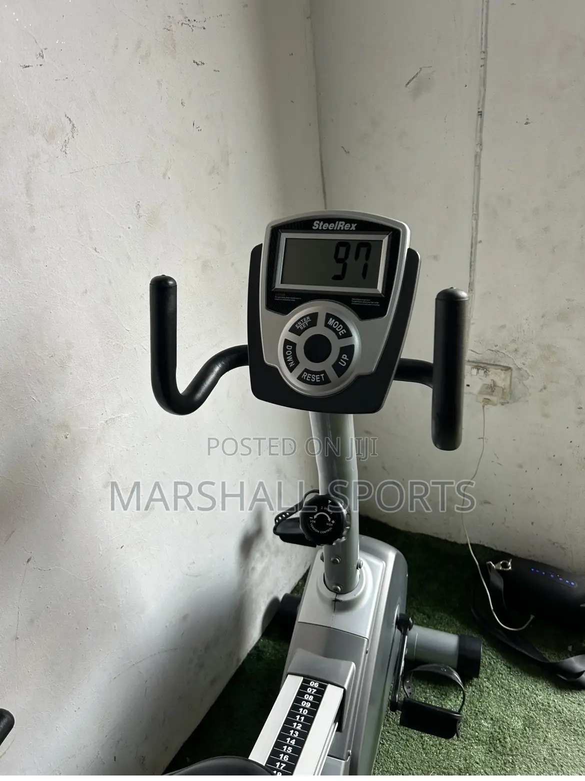 Recumbent Bike (Commercial )