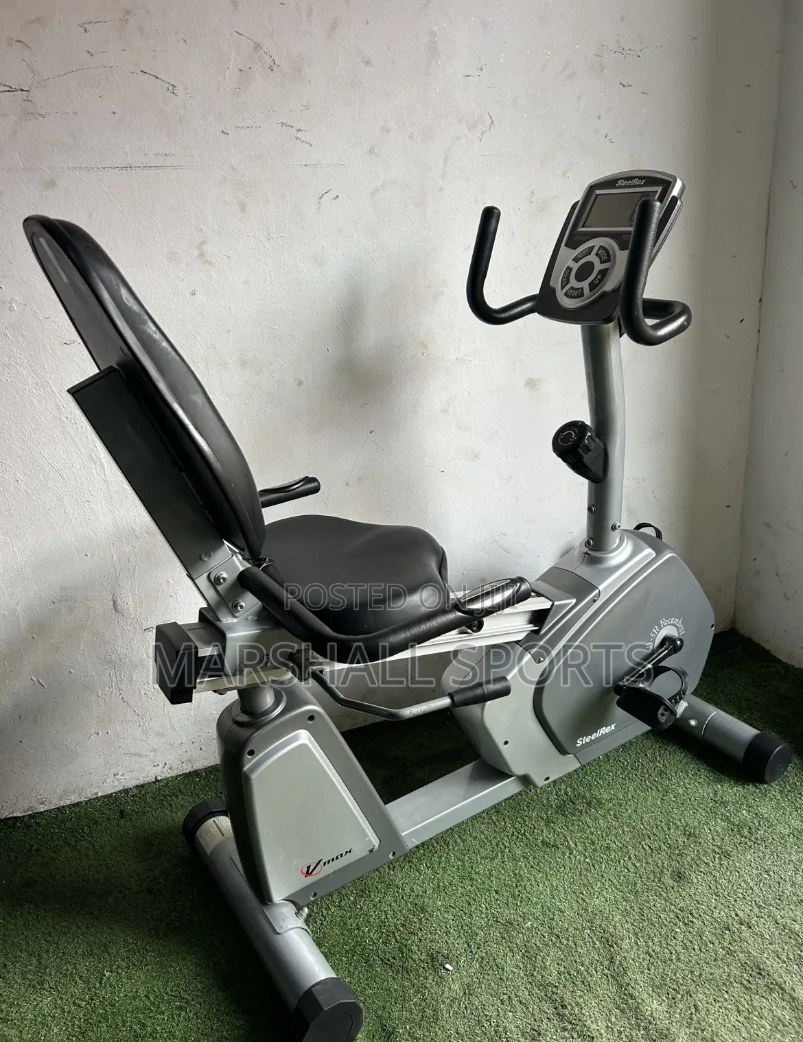 Recumbent Bike (Commercial )
