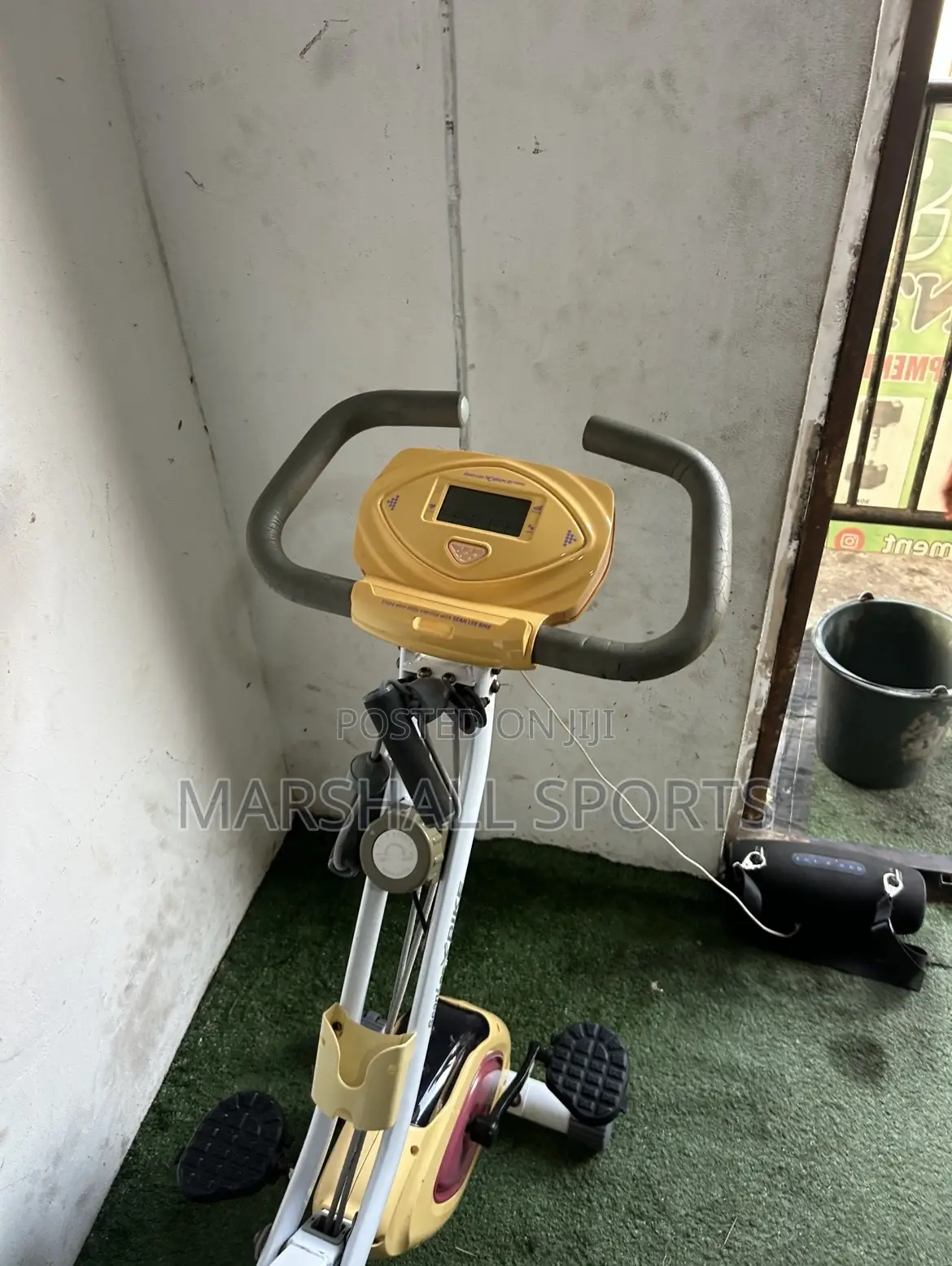 Xbike With Back Extension