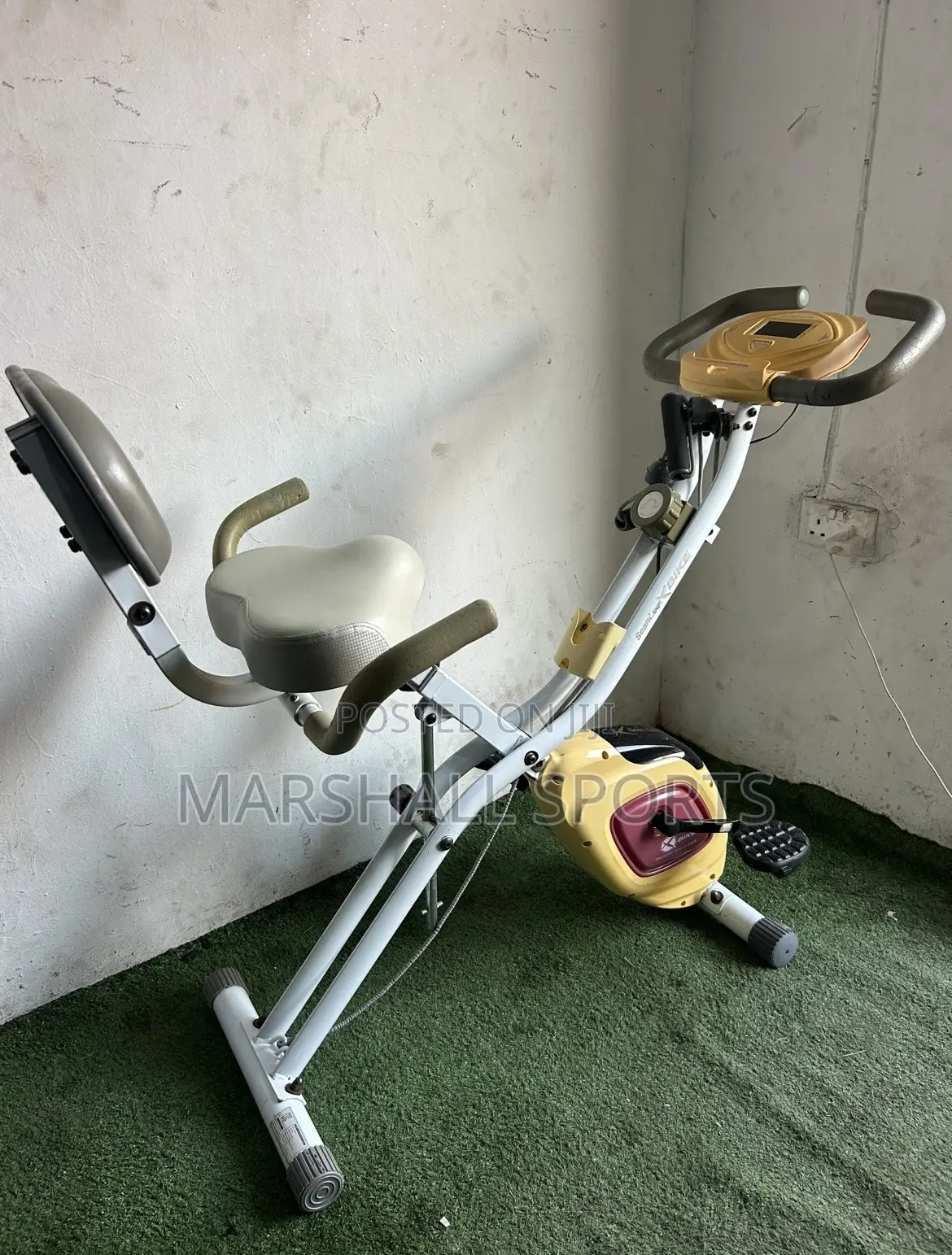 Xbike With Back Extension