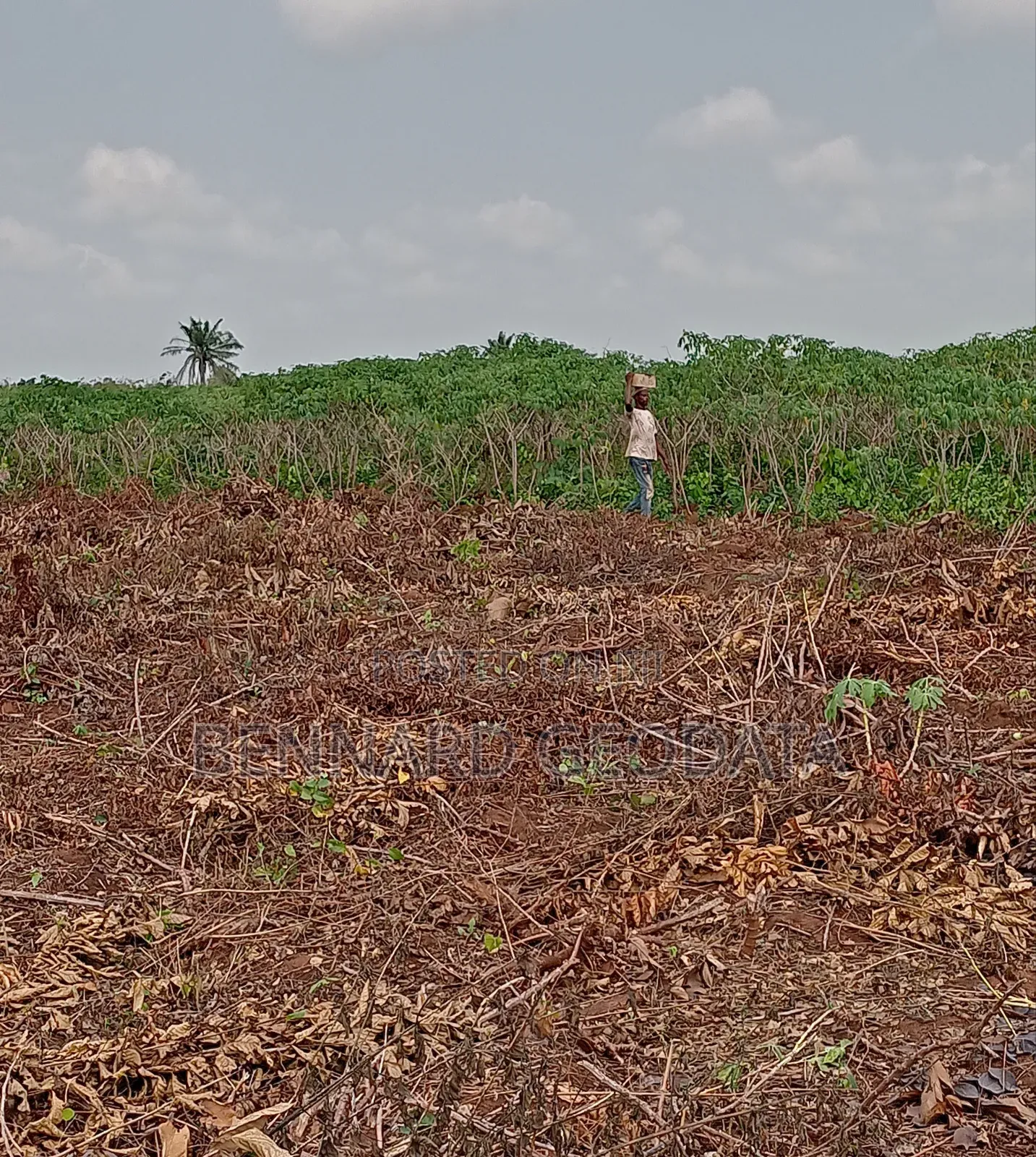 Residential Plots for Sale
