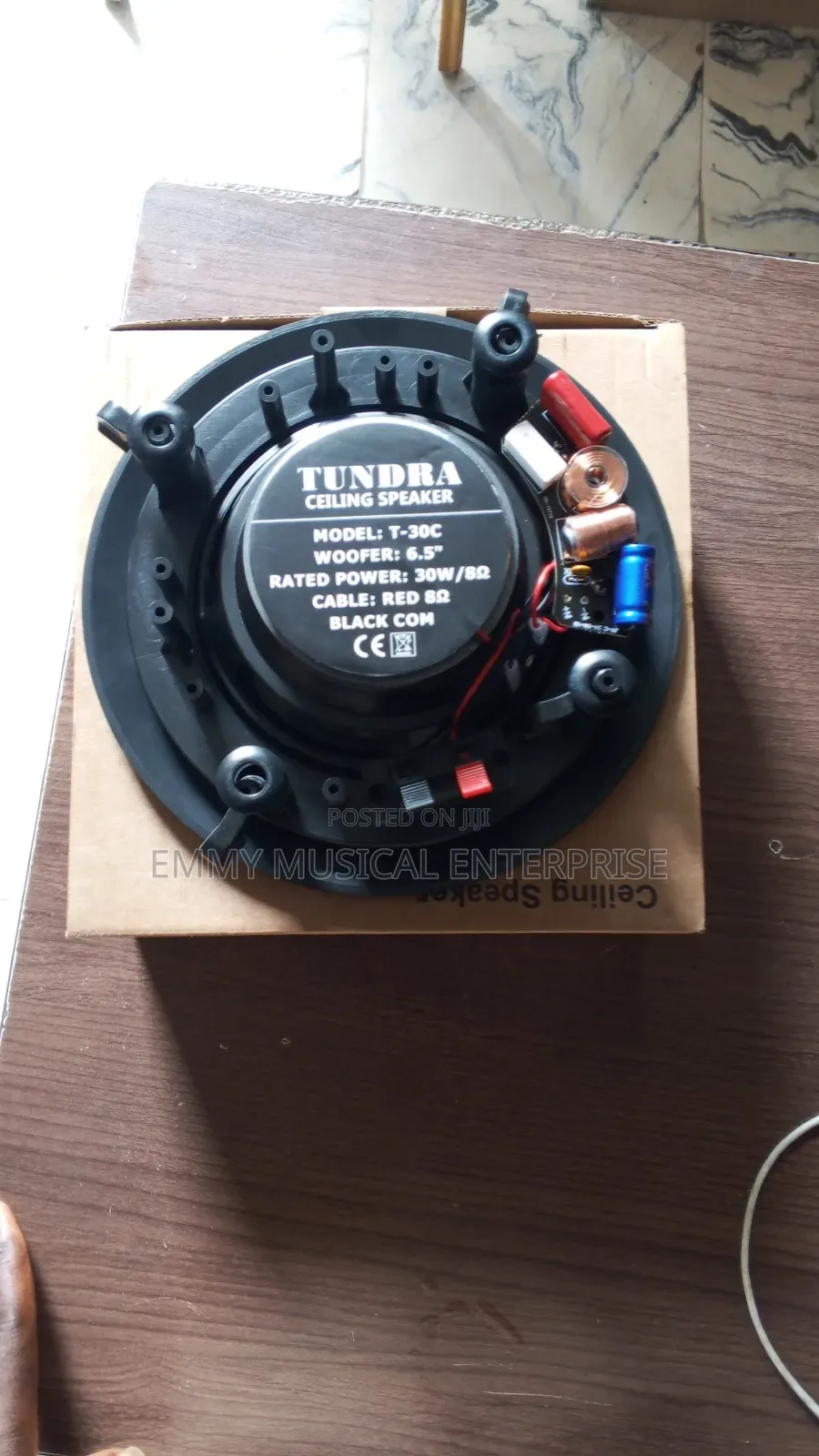Original Tundra Black Passive Ceiling Speaker for Pop
