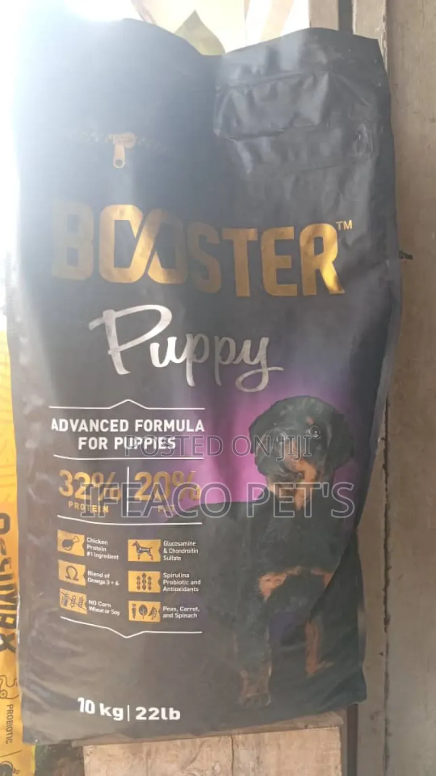 Booster Puppy