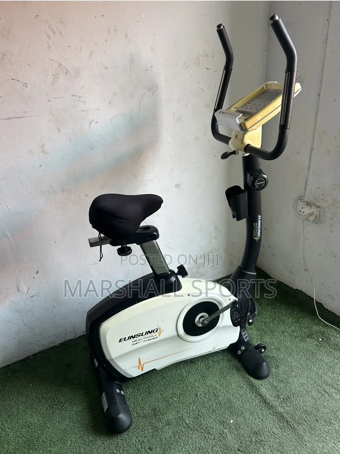 Commercial Eunsung Stationary Bike