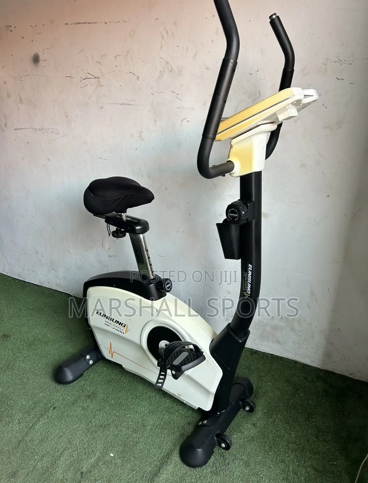 Commercial Eunsung Stationary Bike