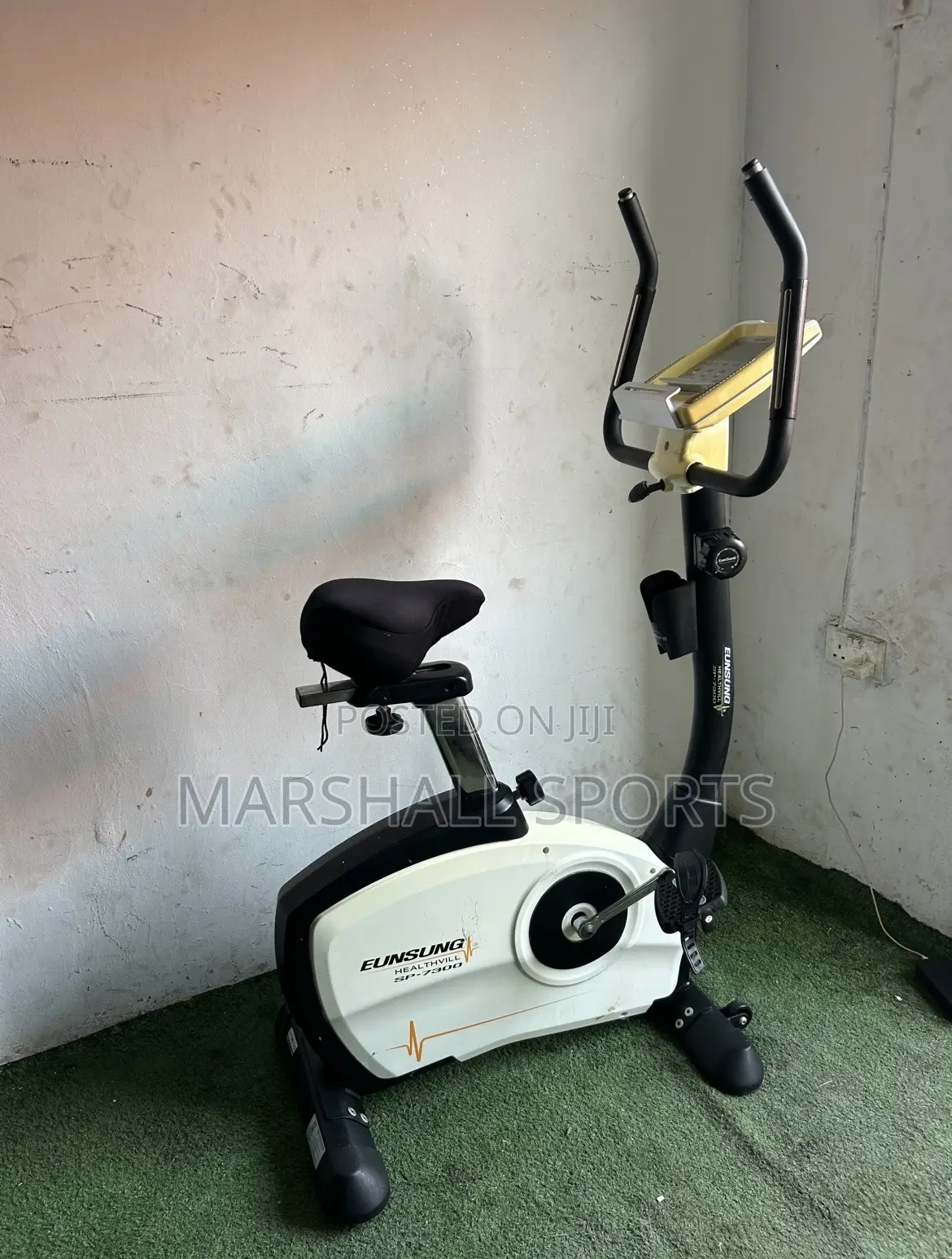 Commercial Eunsung Stationary Bike