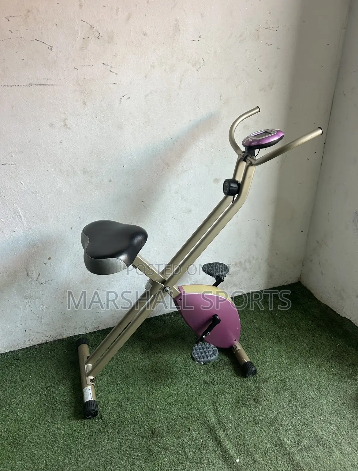 Xbike (Purple )