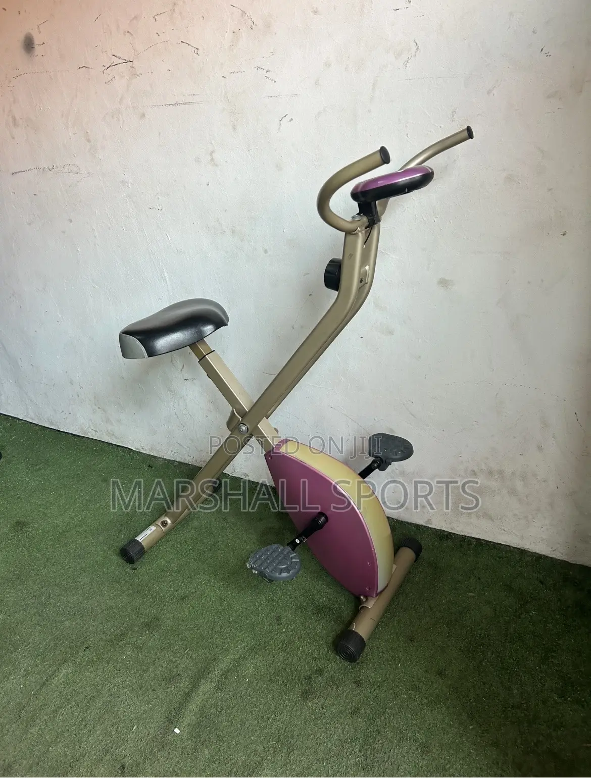 Xbike (Purple )