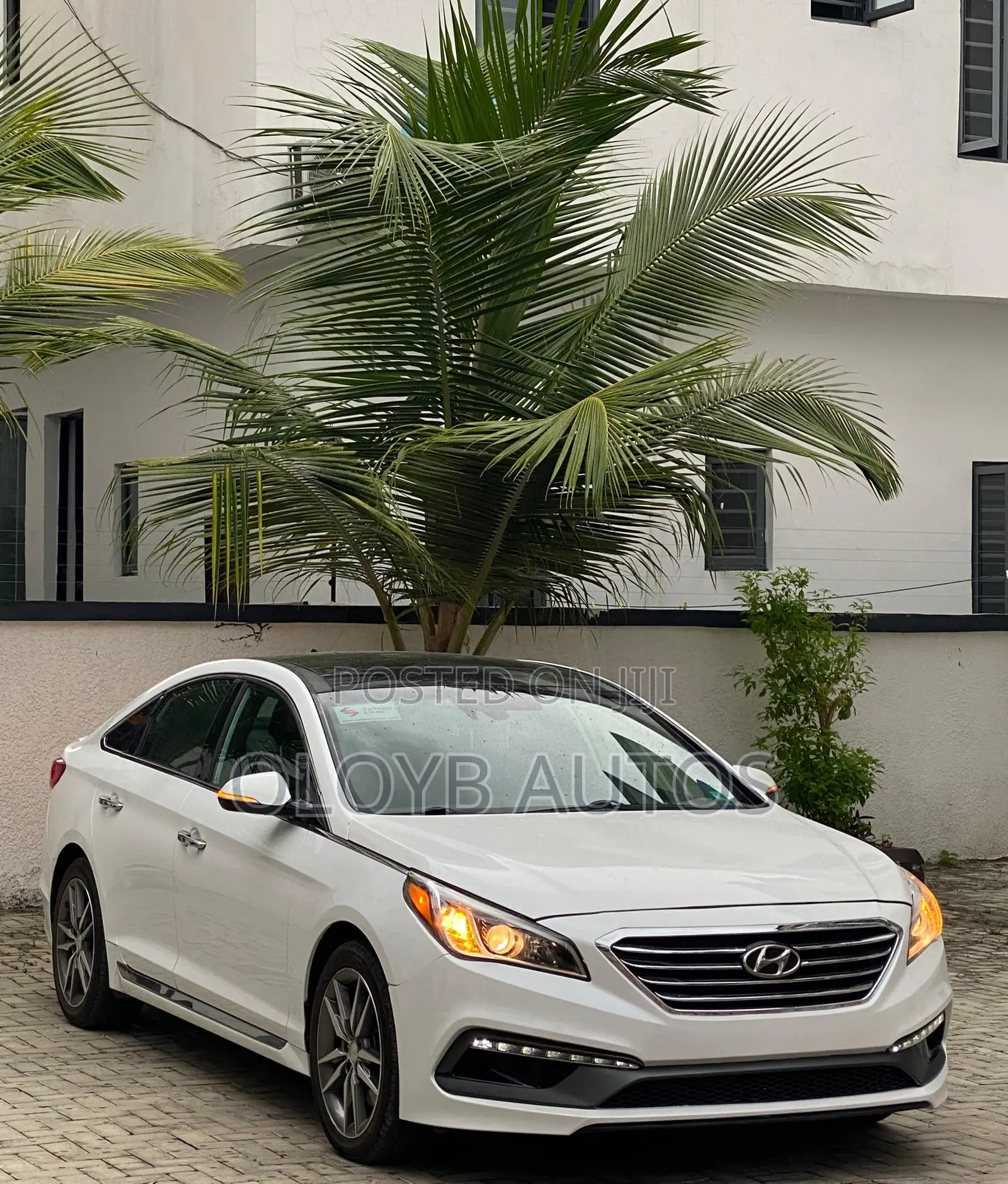 Hyundai Sonata Sport 2.0T 4dr Sedan (2.0L 4cyl Turbo 6A) 2015 Silver