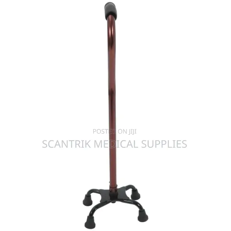 Premium 4-Foot Walking Stick for Seniors and Adults