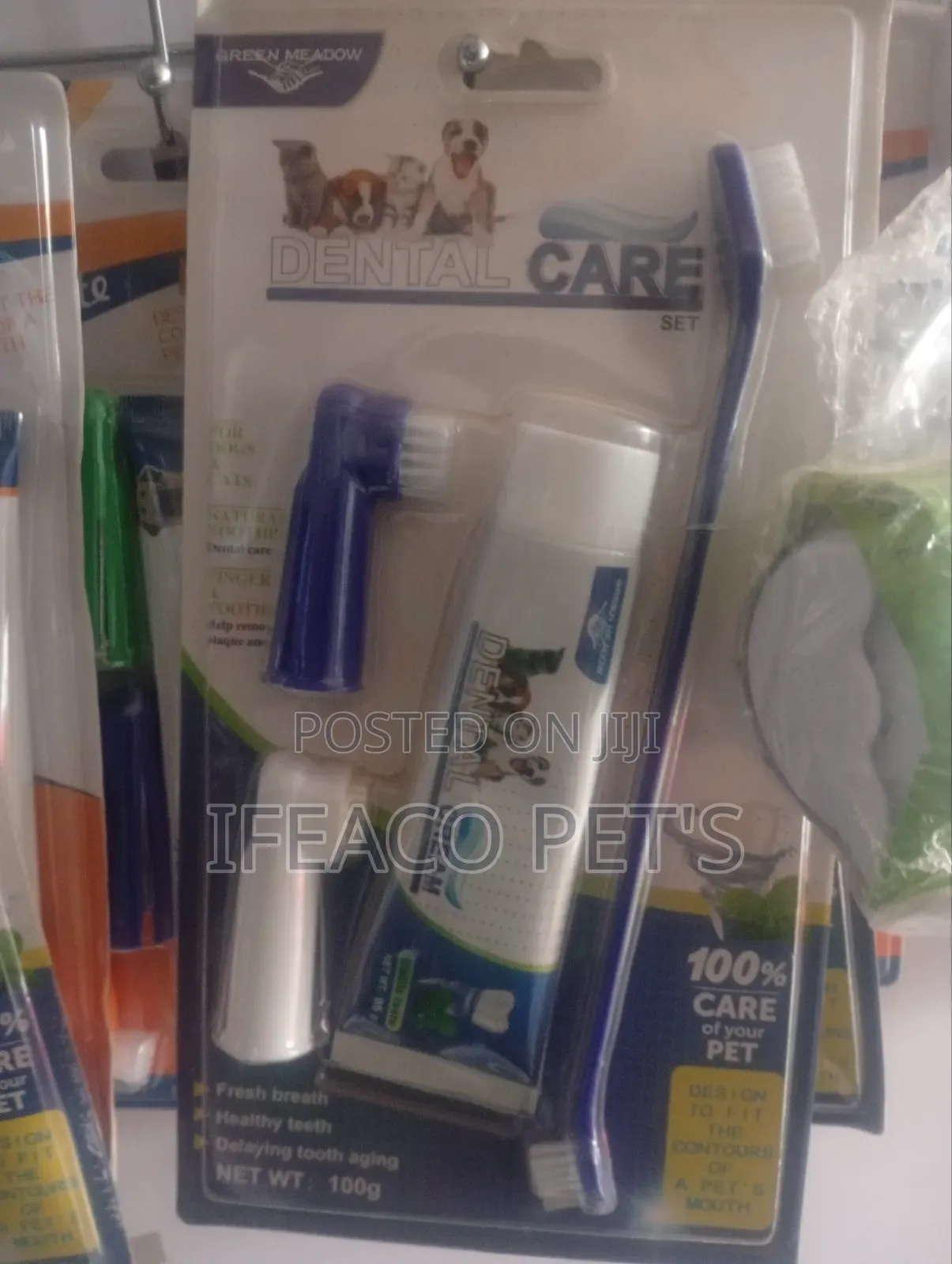 Dental Care Brush 