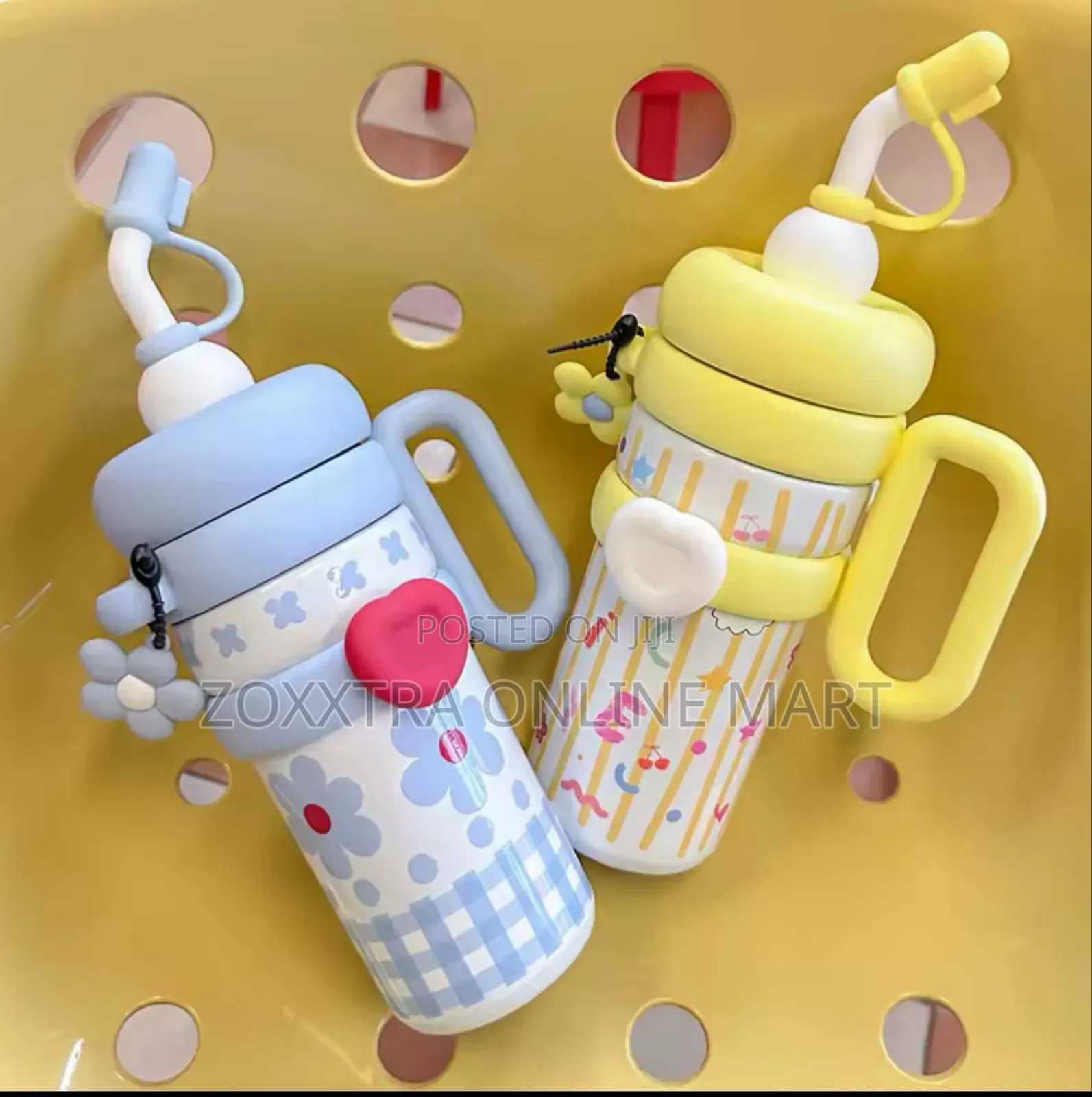Stainless Steel Insulated Water Bottle