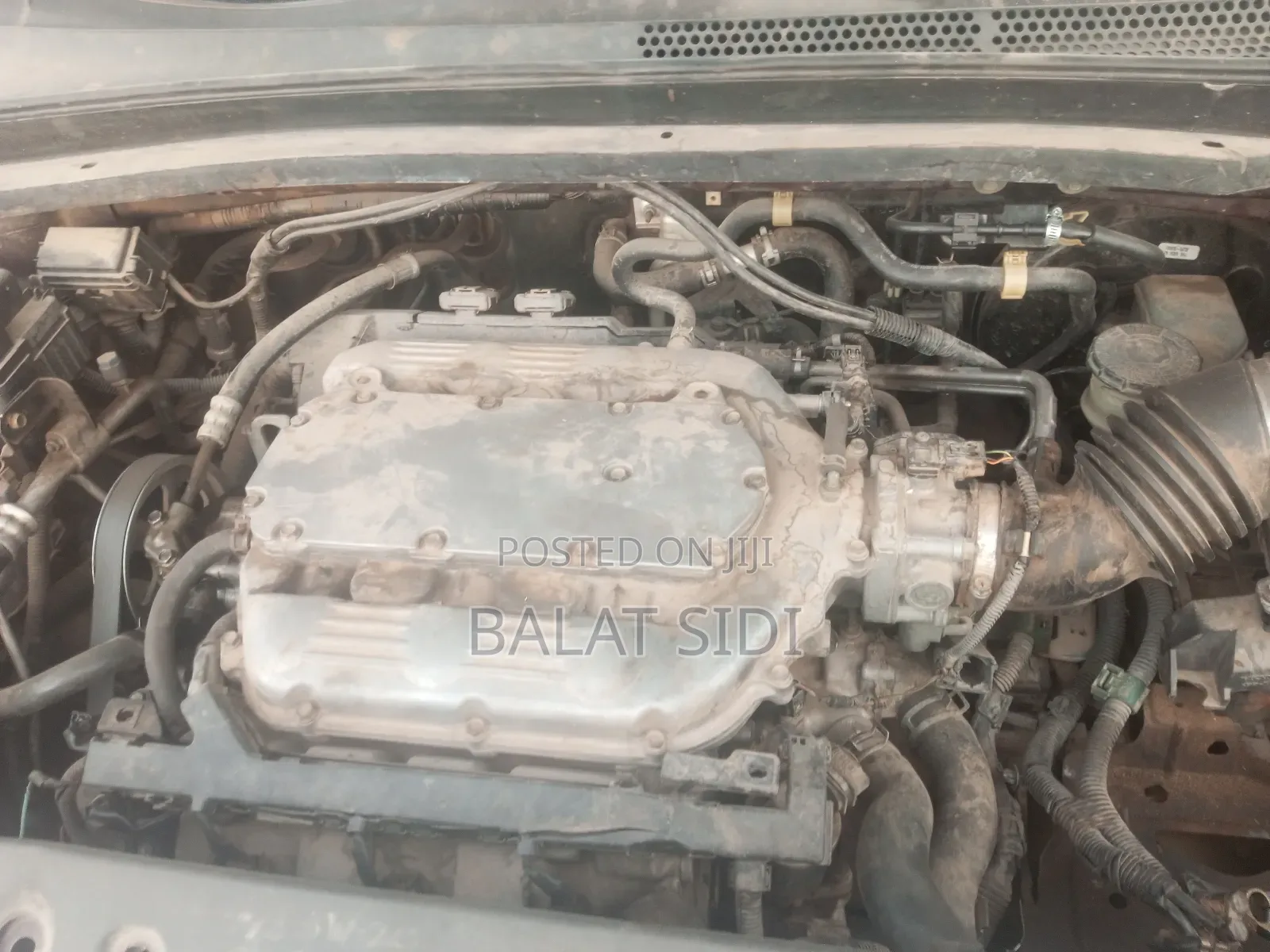 Honda Odyssey EX-L DVD 2008 Maroon