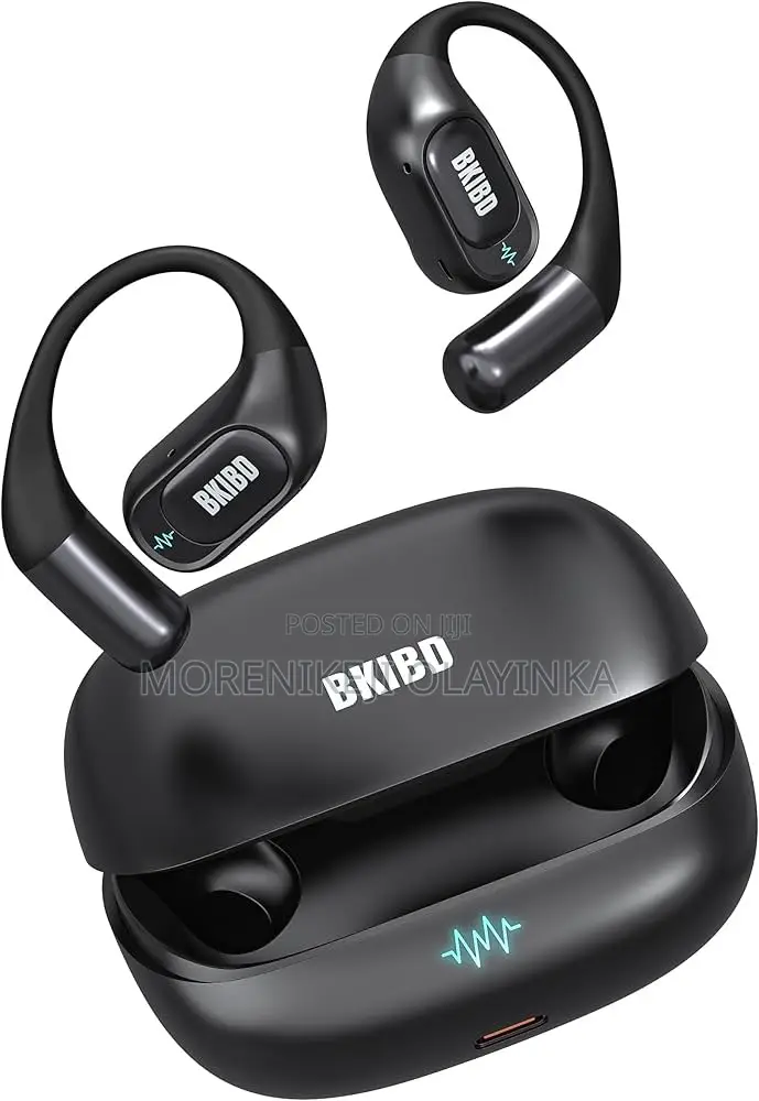 Witless Earphone