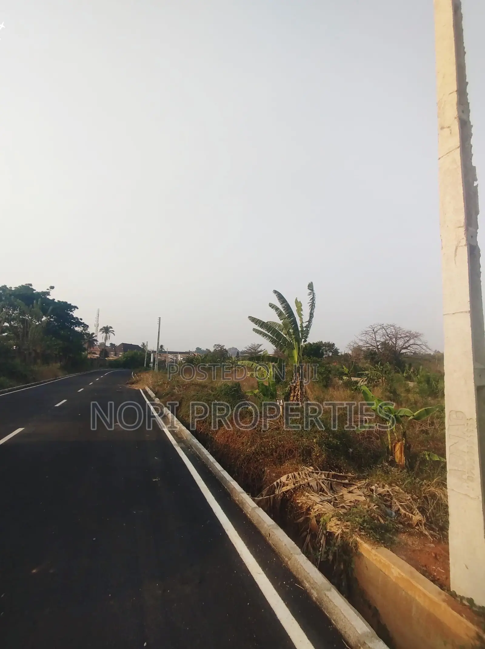 Lands for Sale at Tiger Estate