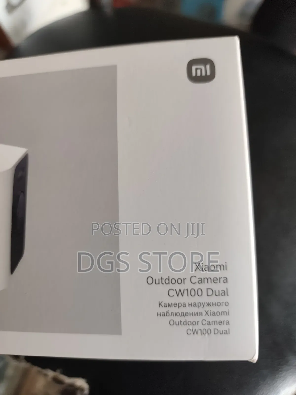 Xiaomi Cw100 Dual Outdoor Camera