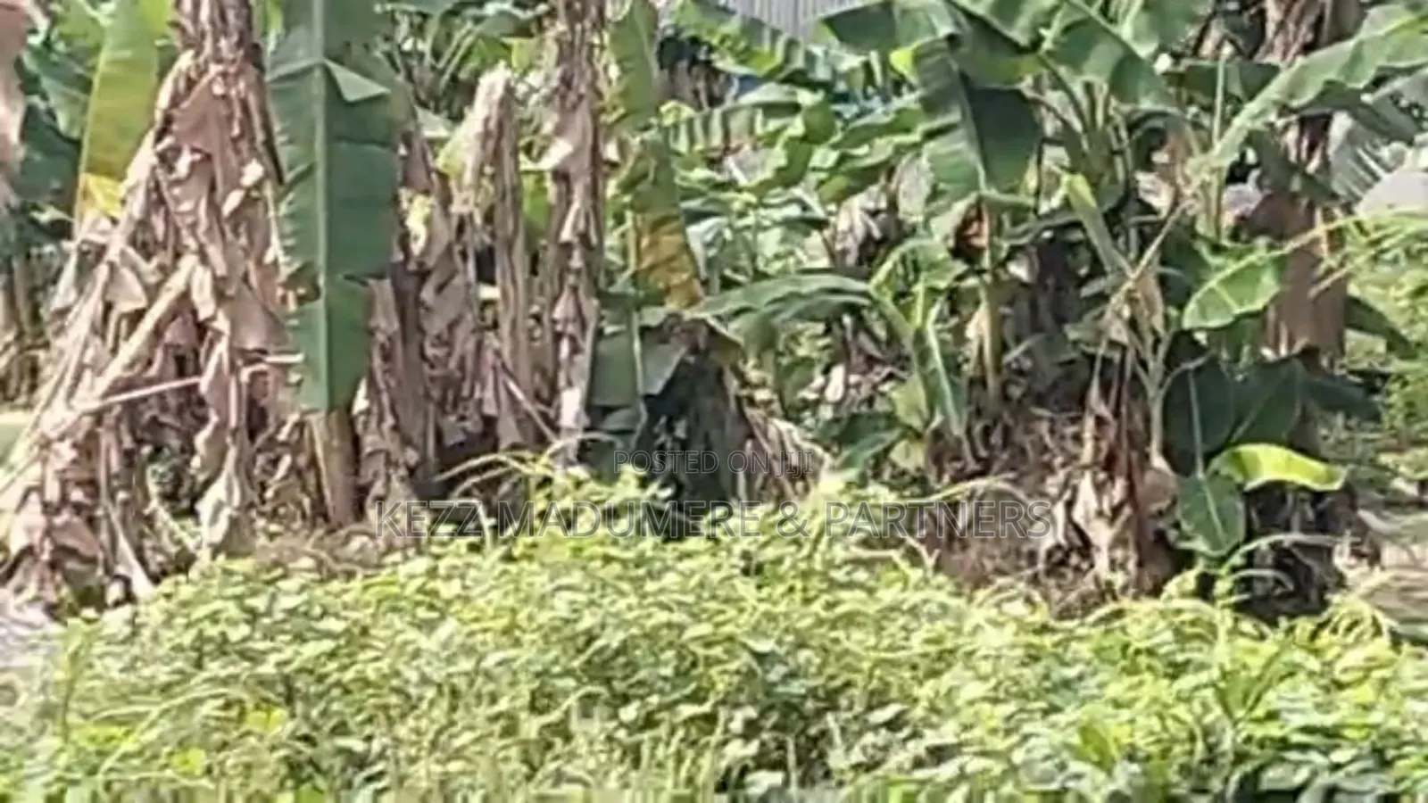 For Sale : 4 Plots at Eneke /Igwuruta Airport Rd, Ph