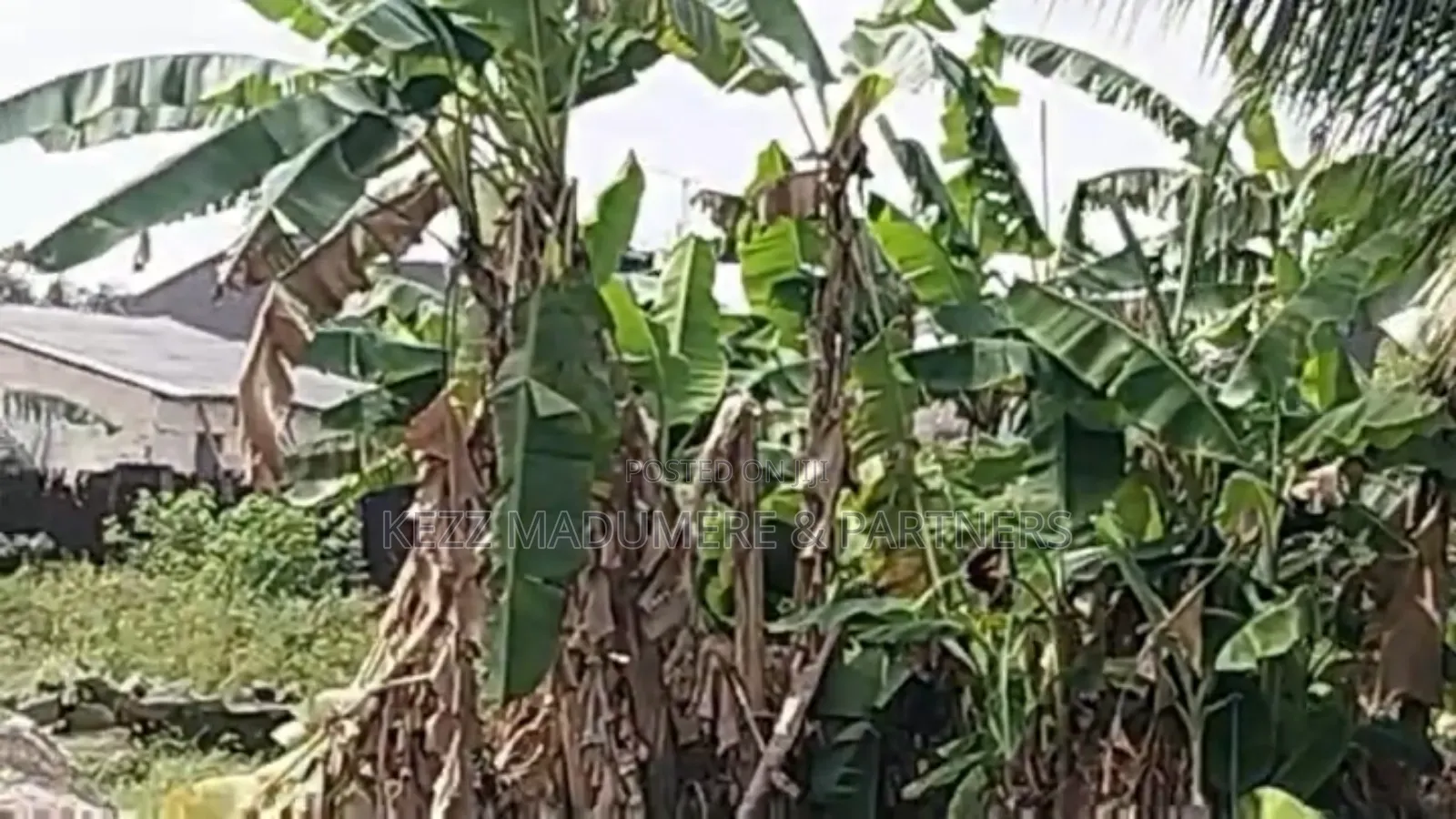 For Sale : 4 Plots at Eneke /Igwuruta Airport Rd, Ph